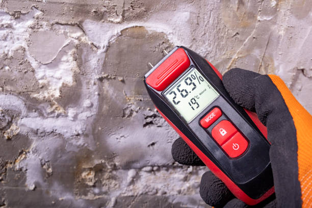 Best Mold Testing and Inspection Services in Chocowinity, NC