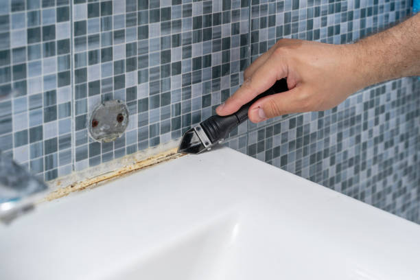 Best Residential Mold Remediation in Chocowinity, NC