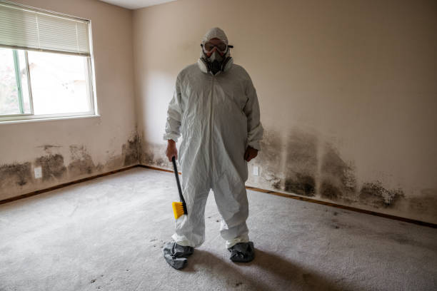 Best Bathroom Mold Remediation in Chocowinity, NC